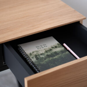 Writing Desk ANNA spacious soft-closing drawer